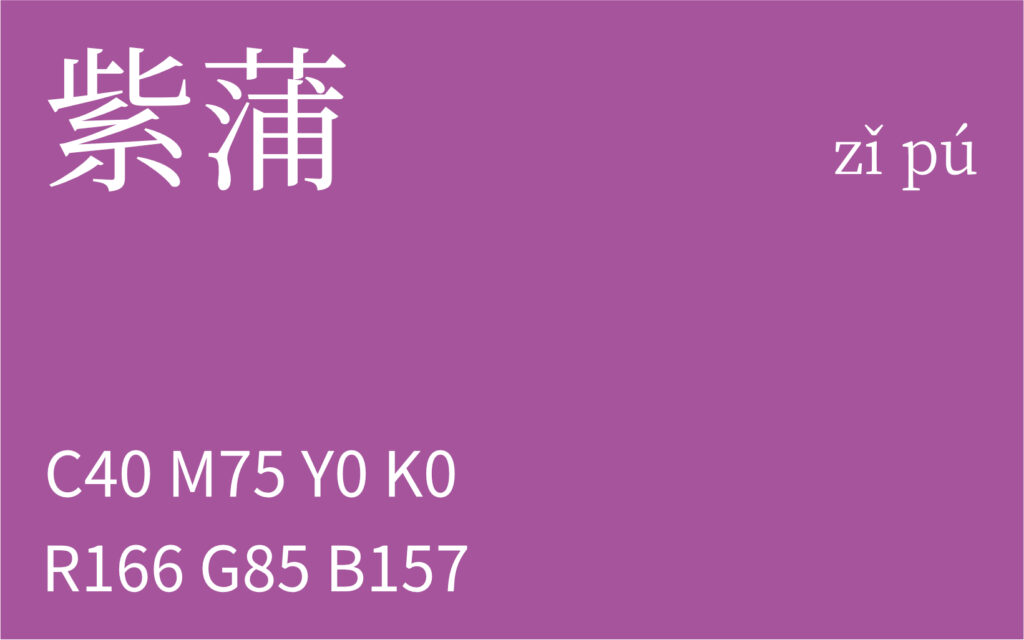 65.清明 紫蒲