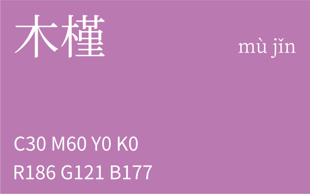 212.处暑 木槿