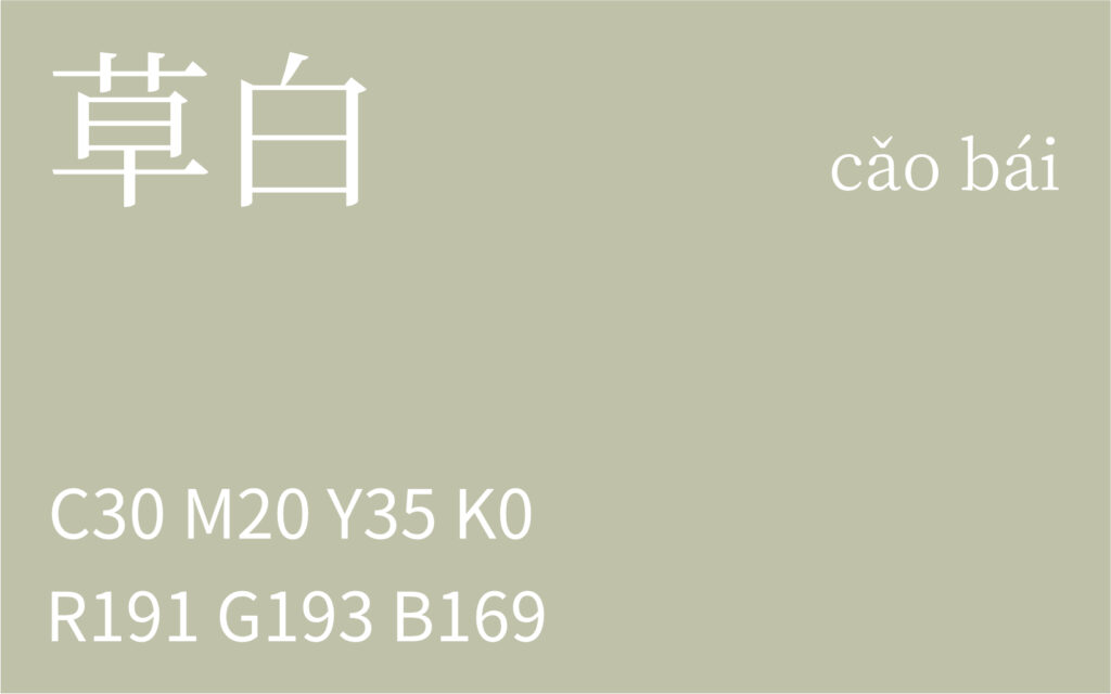 326.大雪 草白