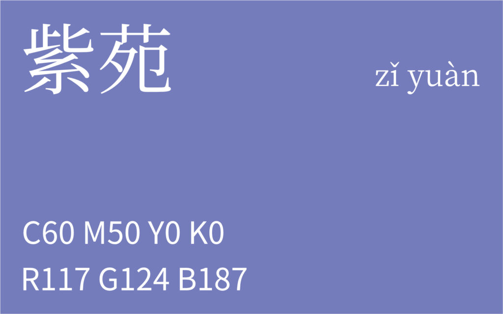 334.大雪 紫苑