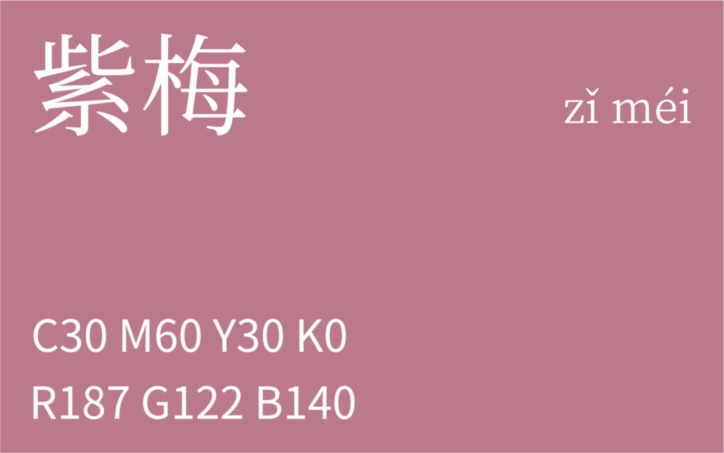 339.冬至 紫梅