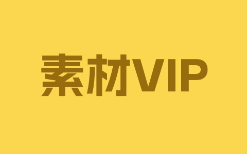 VIP介绍